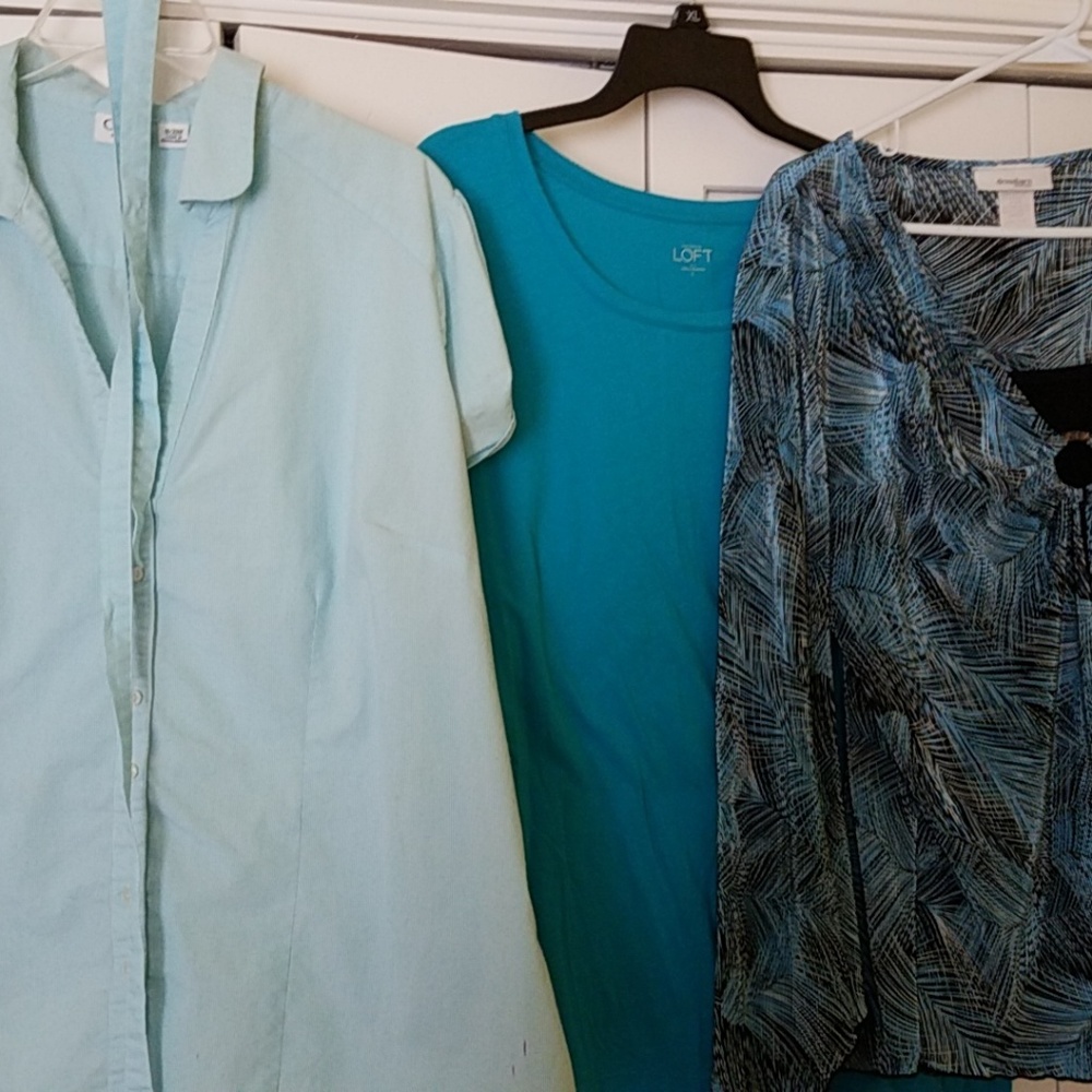 Women's PLUS Size XL 1X 18 20 BLUE Shirt Bundle